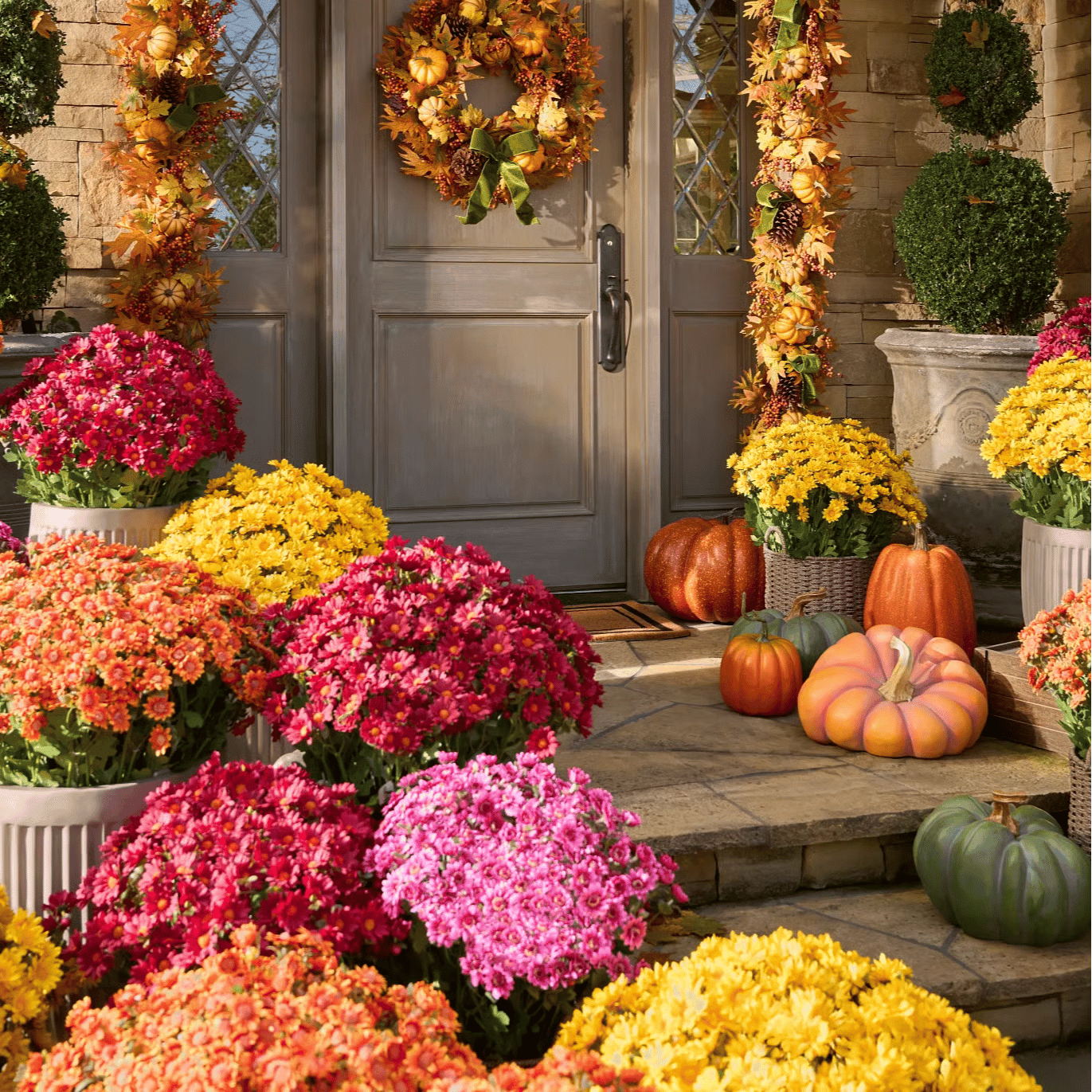 💥Siste dag! Kun 26 NOK per stk – Kunstige utendørsblomster “Sunset Mums” – UV-bestandige, vanntette og vindtette