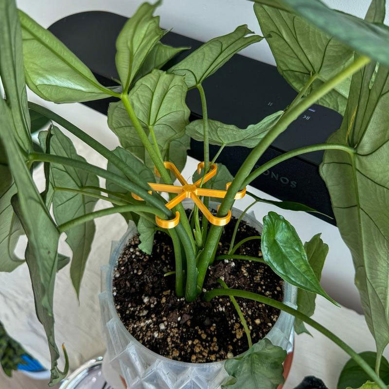 Plantestammestøtte (4 stk.)