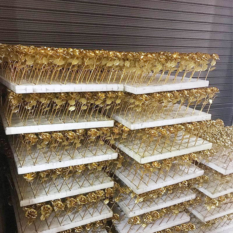 24K Färgglad Galaxy Rose