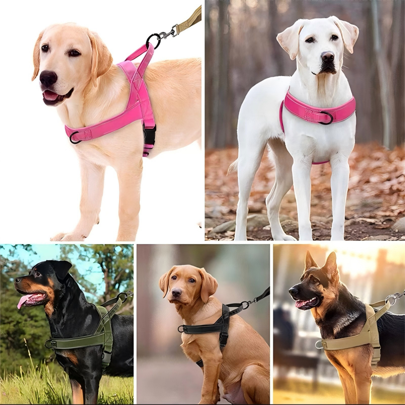 🥳🐕💪Robust taktisk hundesele - drar ikke, kveles ikke🛡️✨